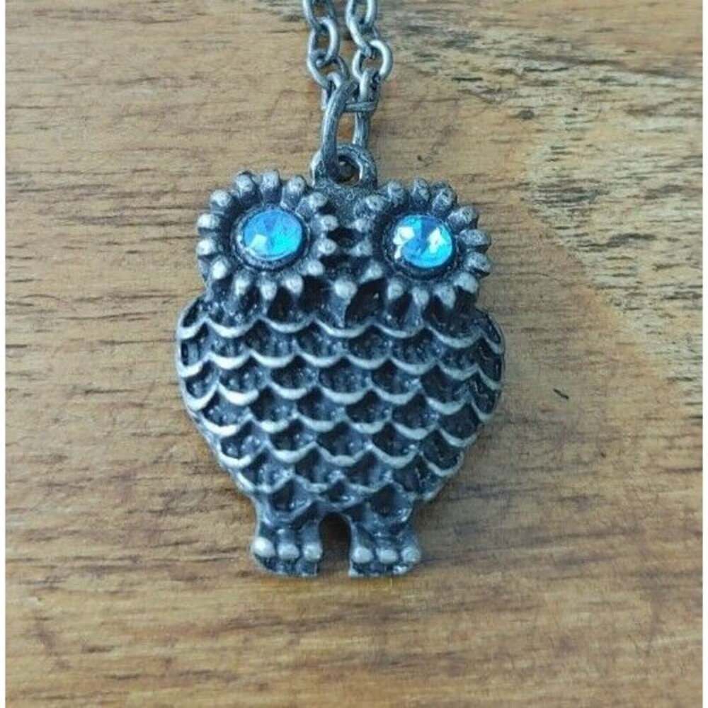 Country Cottage Boho Core BRIGHT BLUE EYED Owl Necklace Jewelry #5